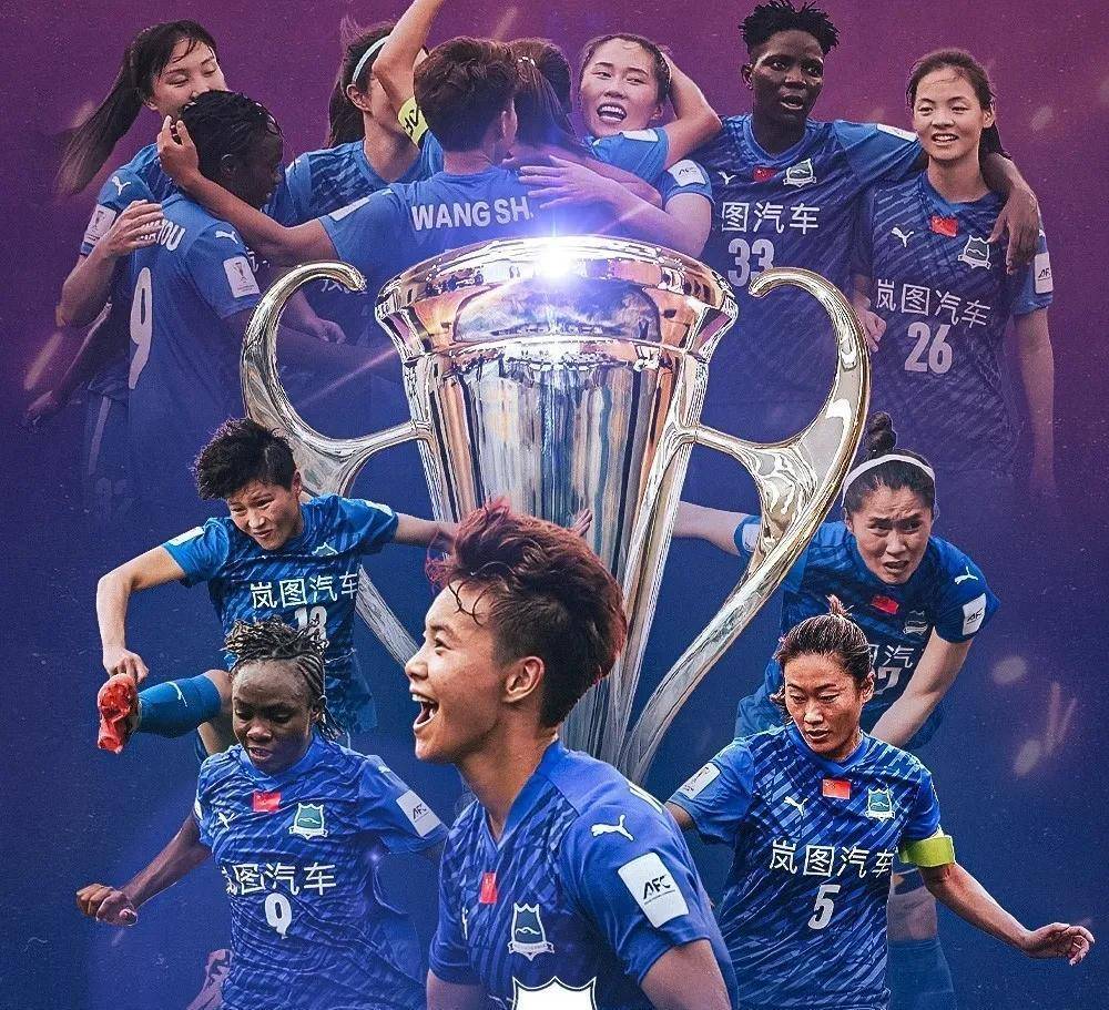 美洲足球决战场：女足代表团冲刺冠军的简单介绍