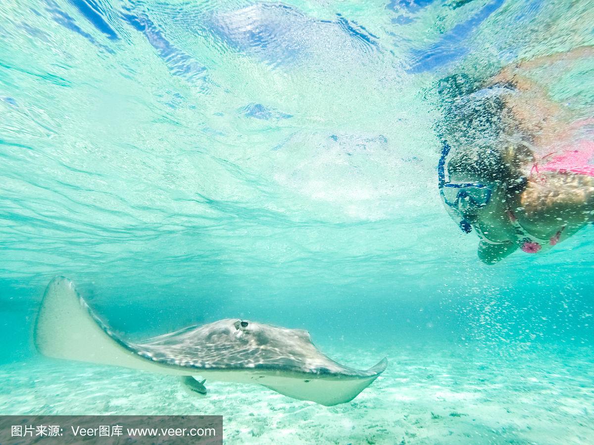 世俱杯分组-法属波利尼西亚举重选手夺冠
