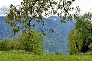 世俱杯冠军-列支敦士登不敌对手止步小组