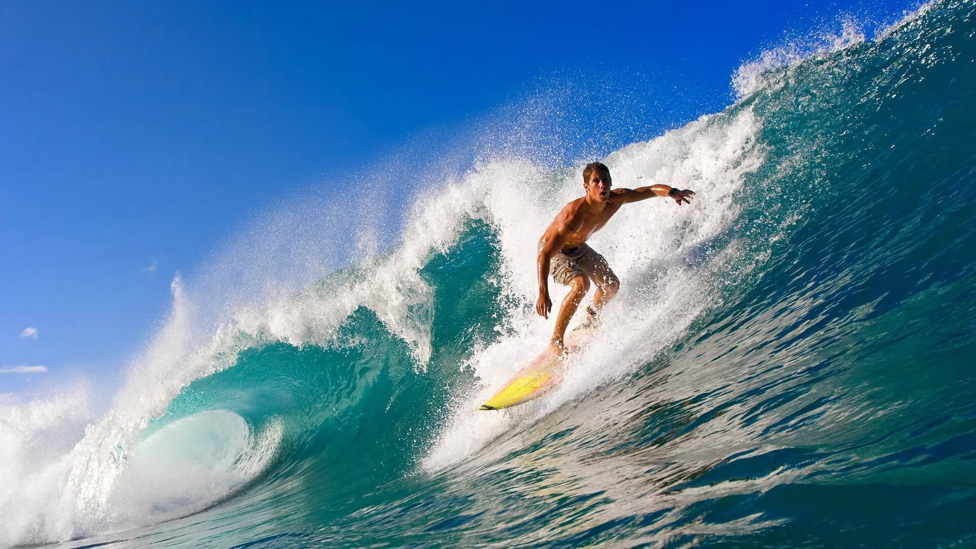 见证体育奇迹之夜，奥地利队轻取德国队，樊振东刷新纪录
